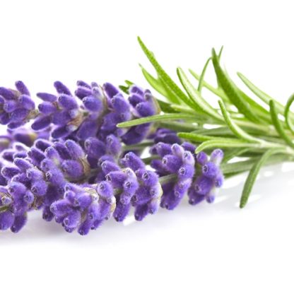TFA Lavender