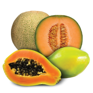 Melons - Flavourwala